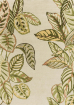 Calathea Samphire 445617